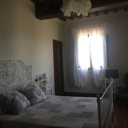 Il Contado Di Arezzo Policiano