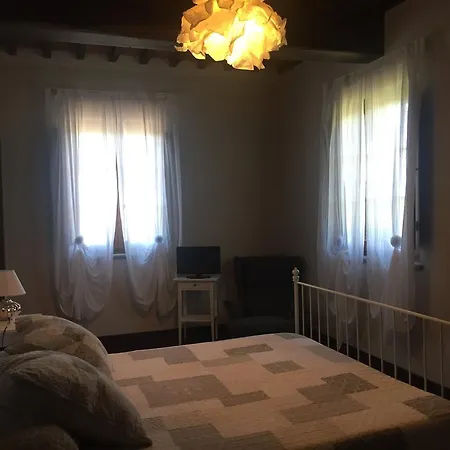 Il Contado Di Arezzo * Policiano